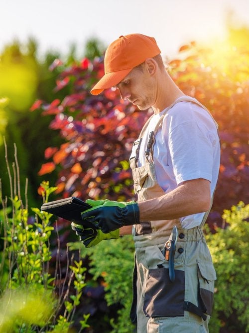 landscaper